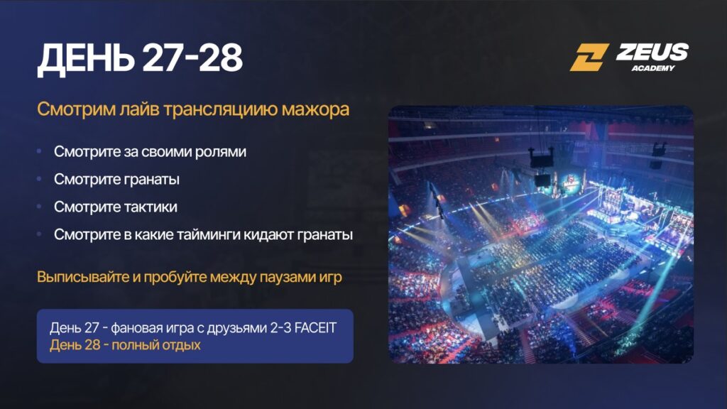  День 27-28 тренировок Zeus Academy