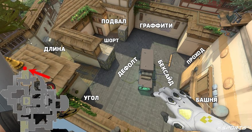 Основные позиции | Плент A Haven