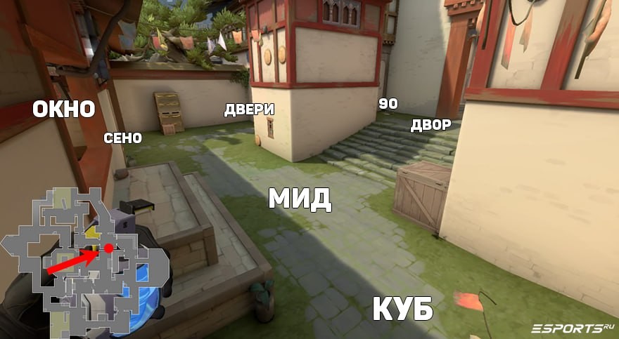 Основные позиции | Плент B Haven