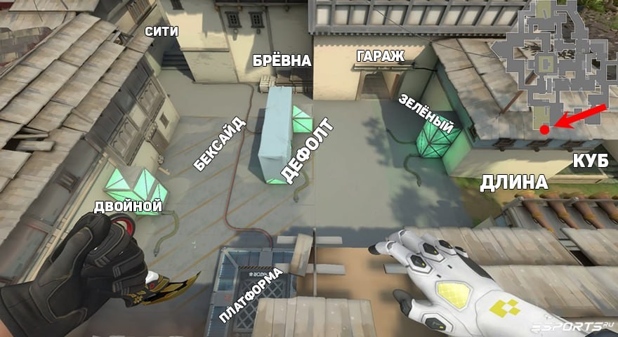 Основные позиции | Плент C Haven