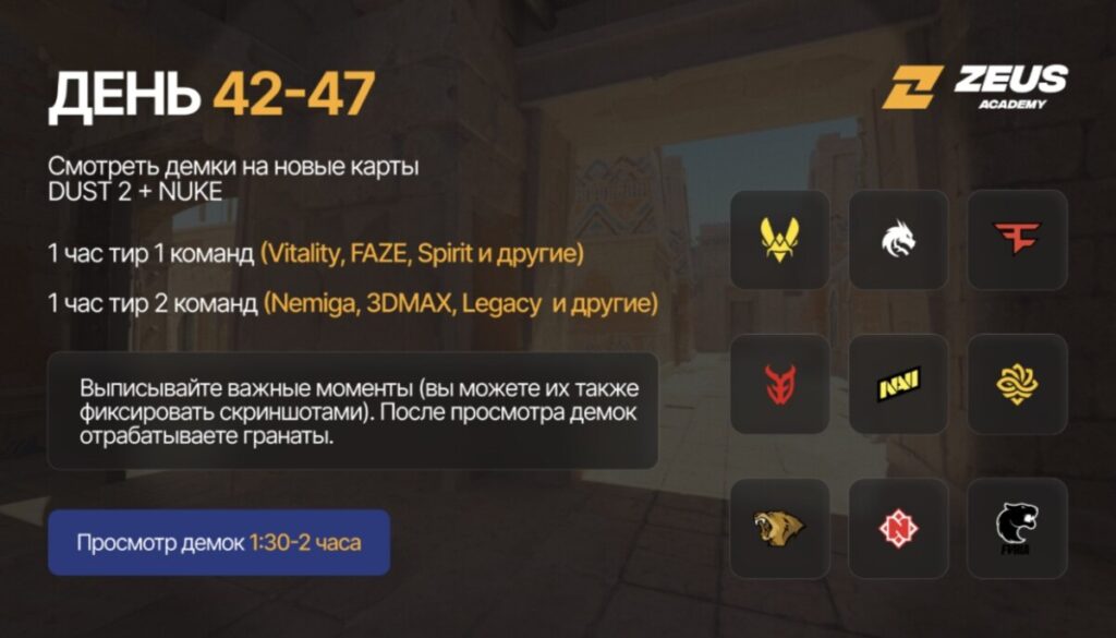 Тренировка Zeus Academy