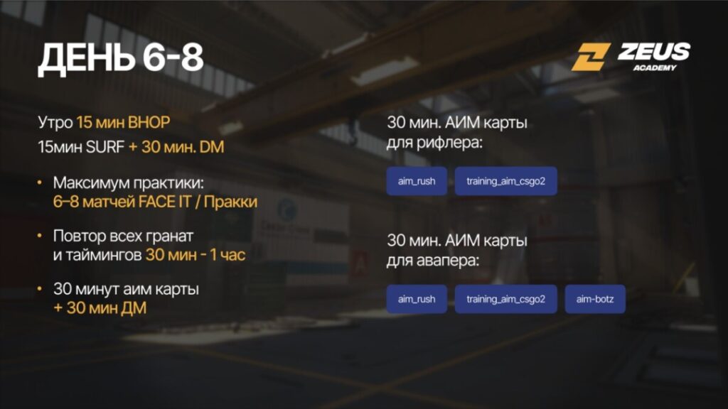 Тренировка Zeus Academy