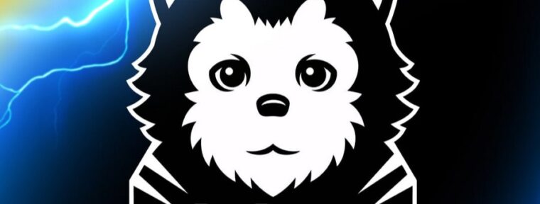 Tried Team обыграли Aunkere Team и прошли в гранд-финал BetBoom ct0m Cup 2x2