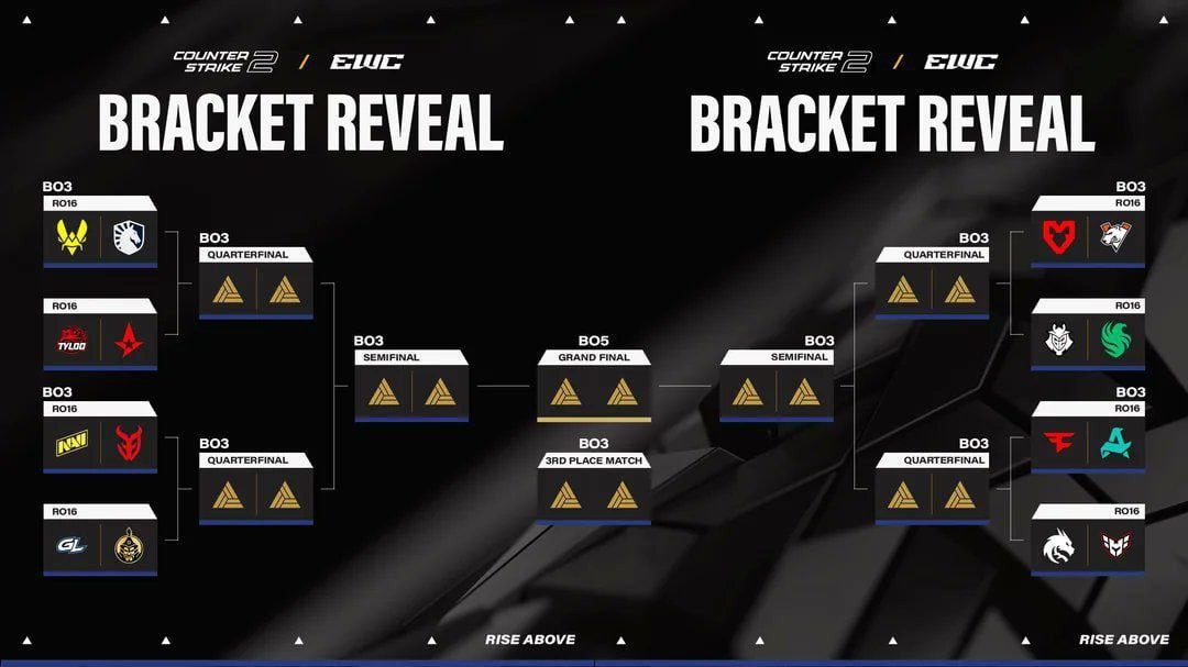 Сетка EWC по CS2
