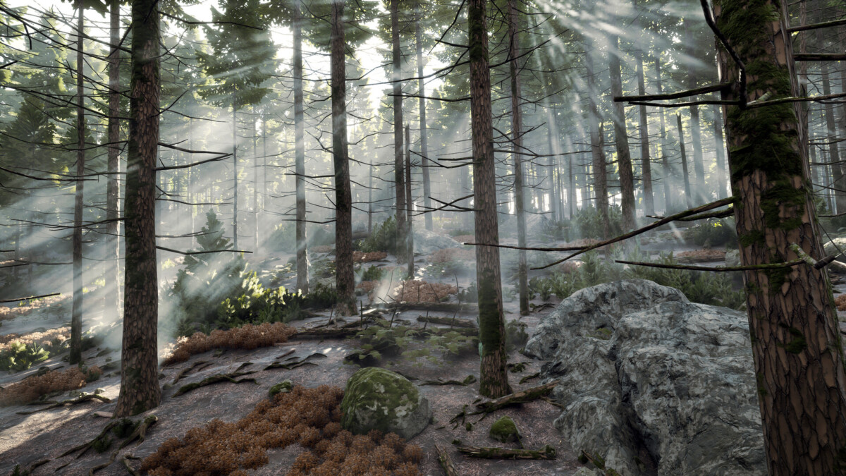 Prologue: Go Wayback! forest