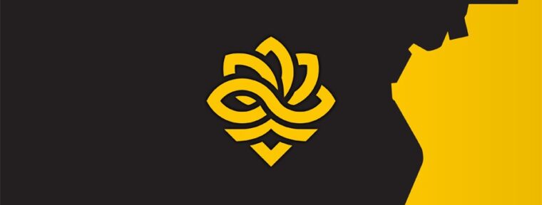 Nqz может заменить saadzin в Legacy — инсайд