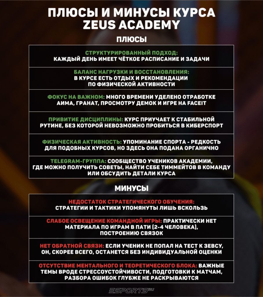 Плюсы и минусы курса Zeus