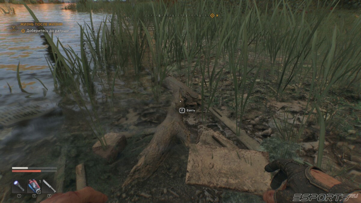 Dying Light: The Beast beaver stick near Old Town