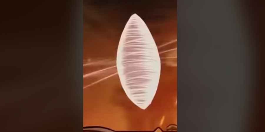 Hollow Knight: Silksong cocoon