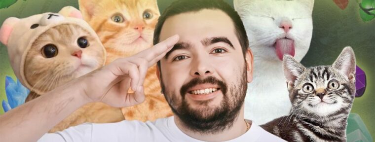 Runa Team запустили акцию — клуб отправит корм в приют для кошек за активность в Telegram