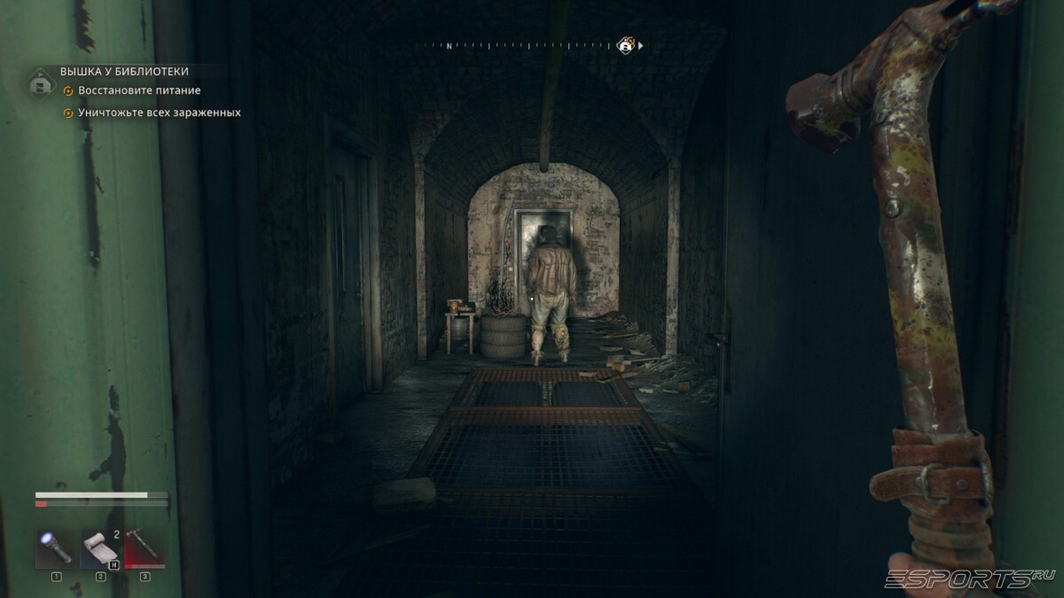 Dying Light: The Beast the goose zombies