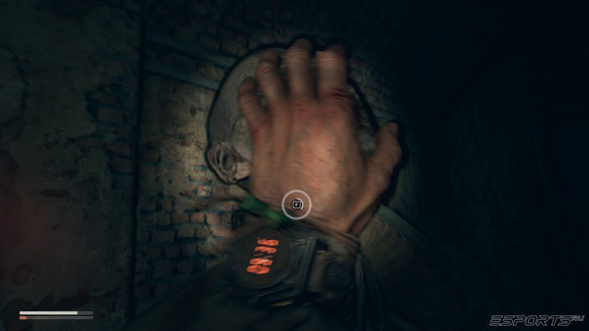 Dying Light: The Beast the goose zombie