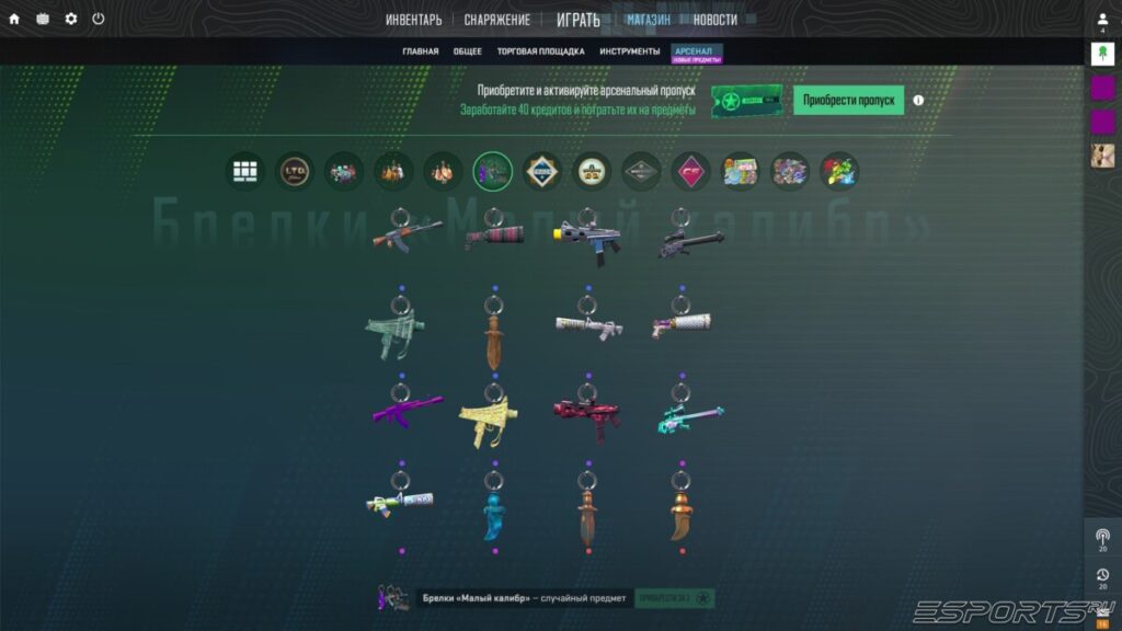 Арсенальный пропуск 