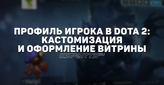 Профиль игрока в Dota 2: оформление витрины, фоны и доступные объекты