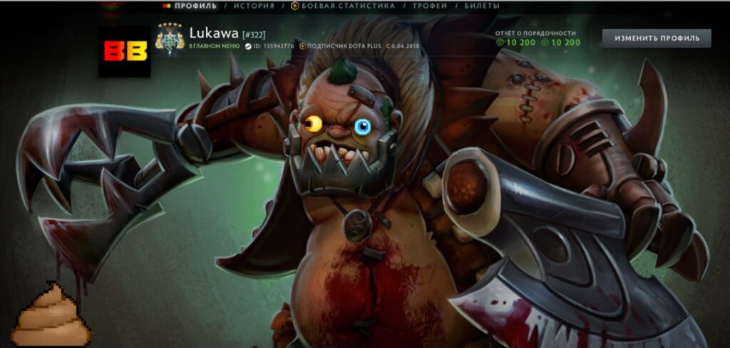 Примеры витрины профиля игрока в Dota 2