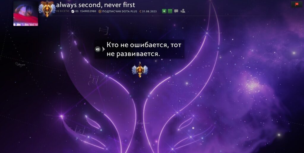Примеры витрины профиля игрока в Dota 2