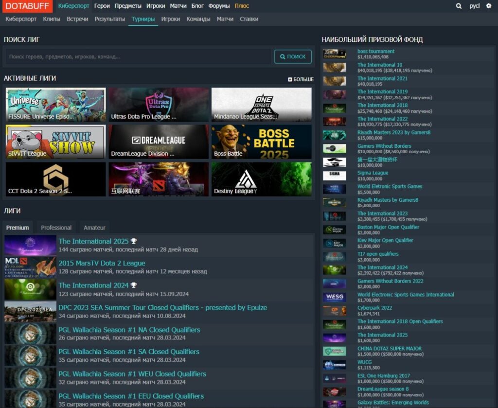 Раздел "Киберспорт→ турниры" на Dotabuff