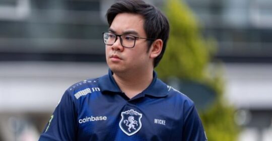NS встал на защиту miCKe из Team Liquid