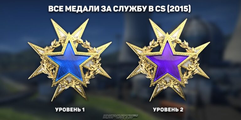 Медали за службу кс 2