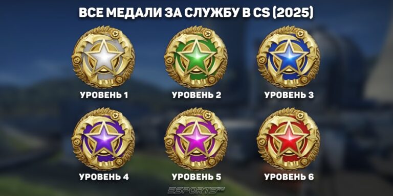Медали за службу кс 2