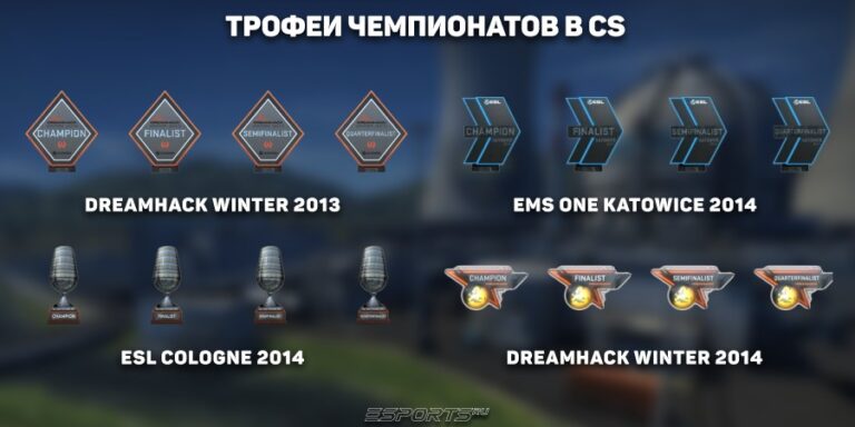 Значки-трофеи чемпионатов кс 2