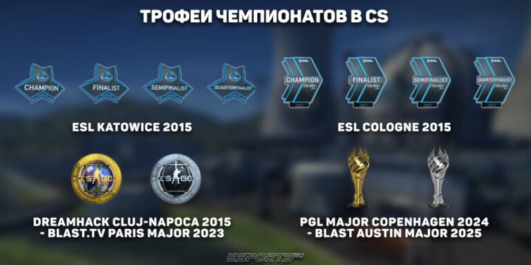 Значки-трофеи чемпионатов кс 2