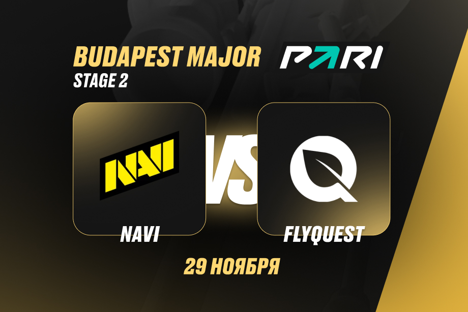 NAVI против FlyQuest