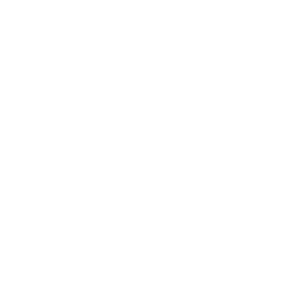 ALLINNERS