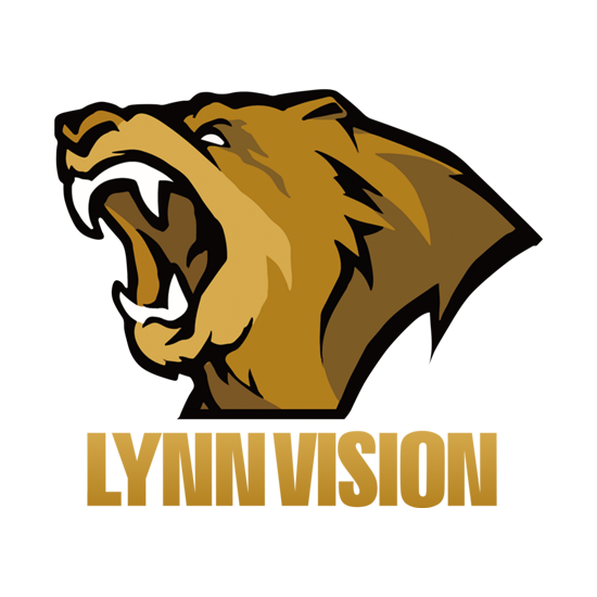 Lynn Vision