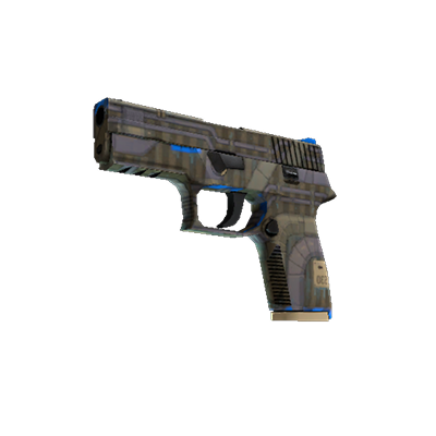 P250 | Обменник