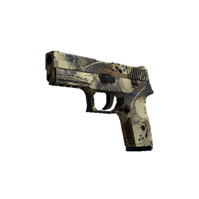 P250 | Заражение