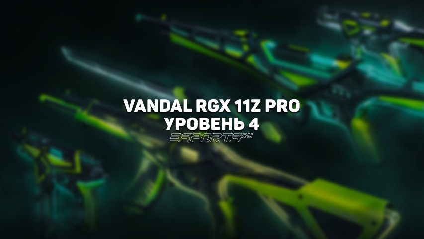 Vandal RGX Уровень 4