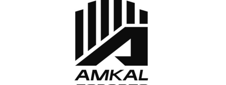 AMKAL ESPORTS закрыли киберспортивное направление