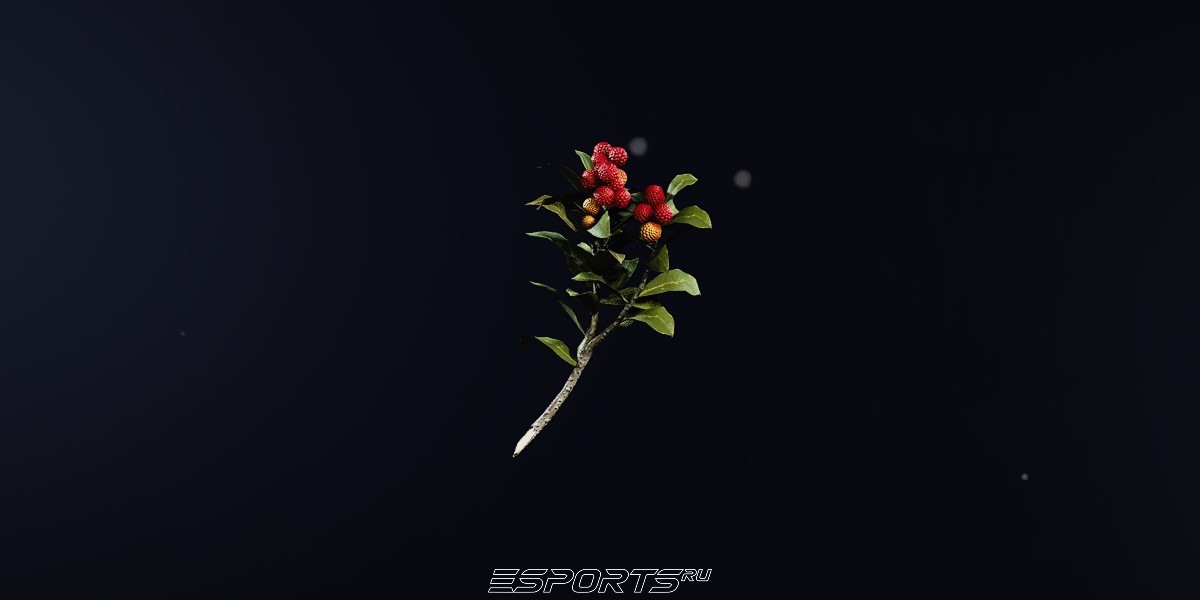 ARC Raiders Candleberry