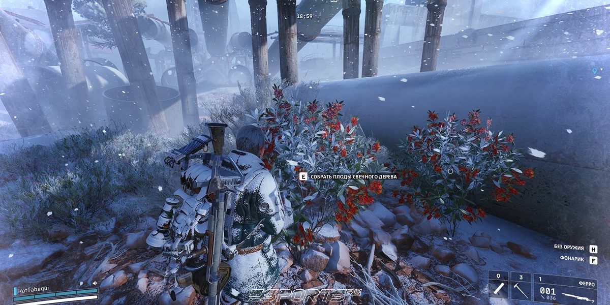 ARC Raiders candleberry bush