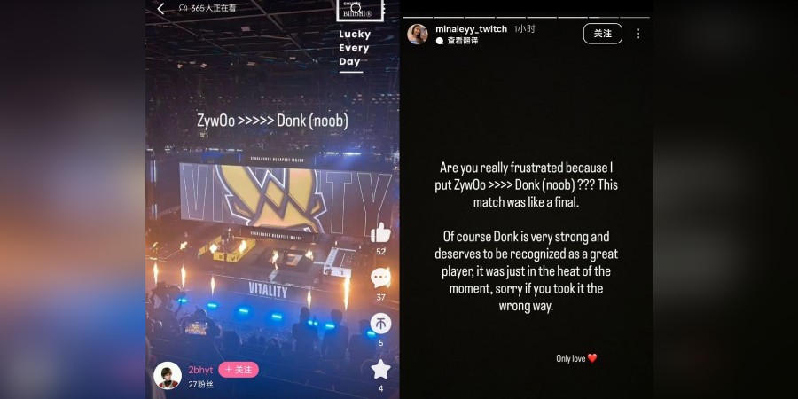 История Minaleyy