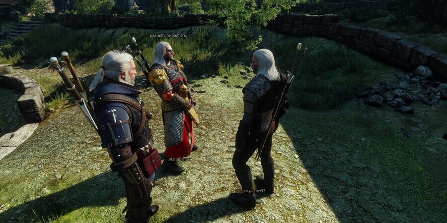 Witcher Online