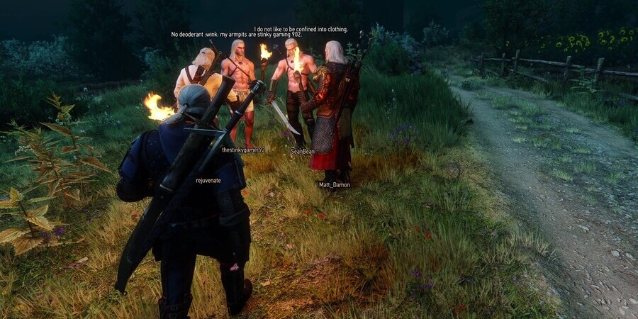 Witcher Online