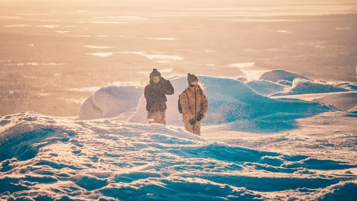 &laquo;Невероятные приключения в стране чудес&raquo;