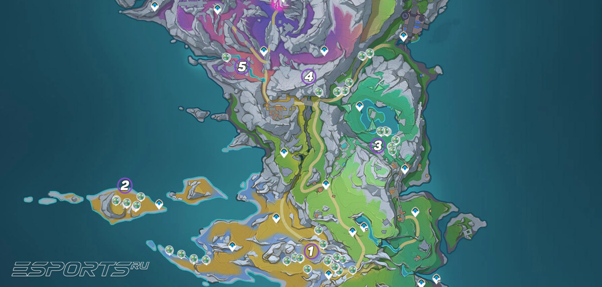 Карта фарма Шпороцветник в Genshin Impact