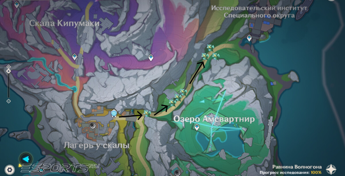 Маршрут фарма Шпороцветник в Genshin Impact