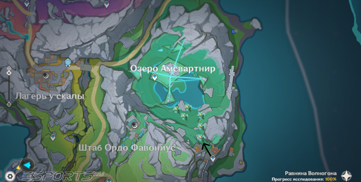 Маршрут фарма Шпороцветник в Genshin Impact