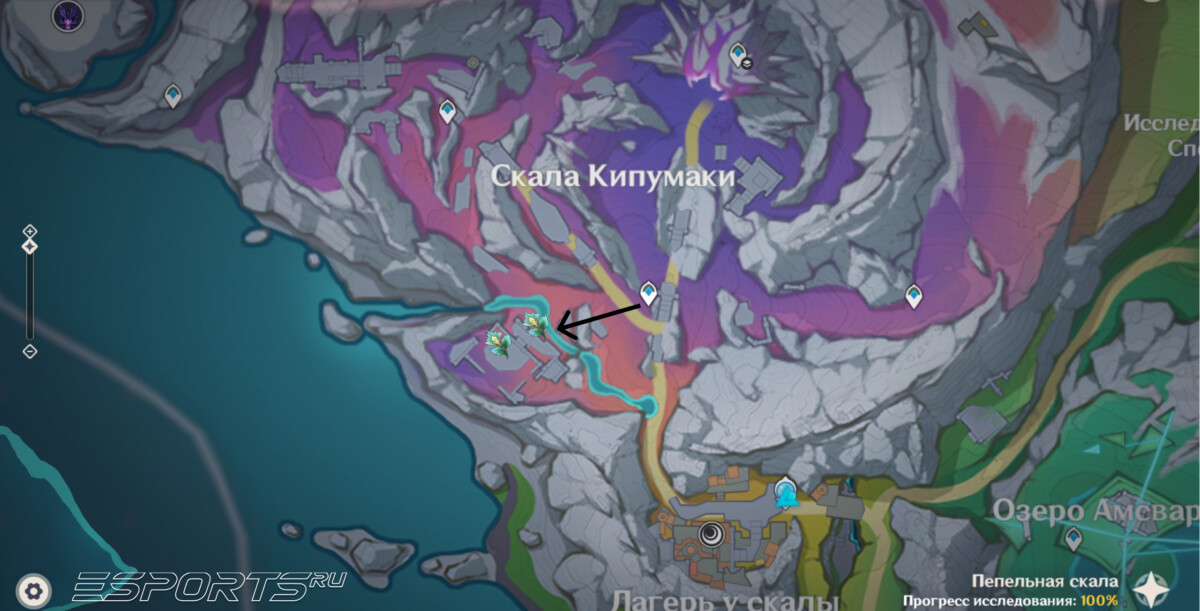 Маршрут фарма Шпороцветник в Genshin Impact