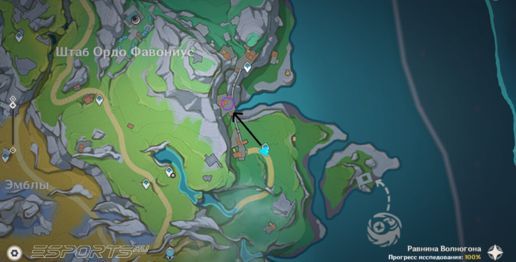 Где купить Шпороцветник в Genshin Impact