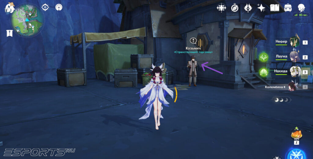 Где купить Шпороцветник в Genshin Impact