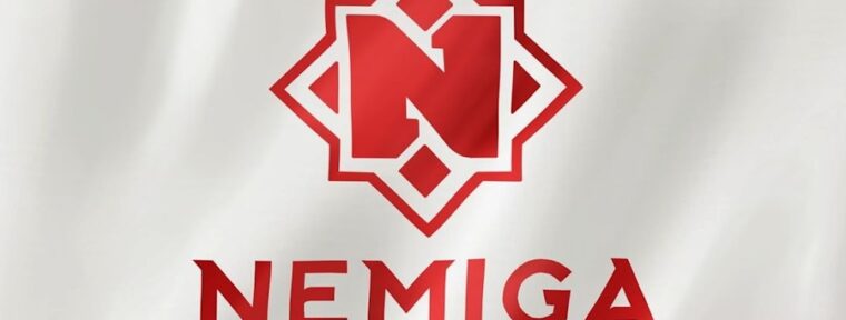 Nemiga Gaming представили новый состав с Fishman