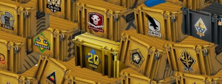 Владелец фермы скинов CS2: «В среднем я получаю с них грязными около $16 000, чистыми $12 000»