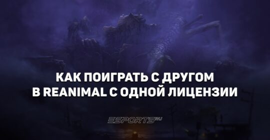 Как поиграть с другом в REANIMAL с одной лицензии