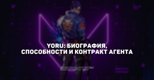 Yoru: биография, способности и контракт агента
