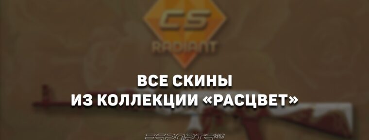 Все скины из коллекции «Расцвет» в CS2